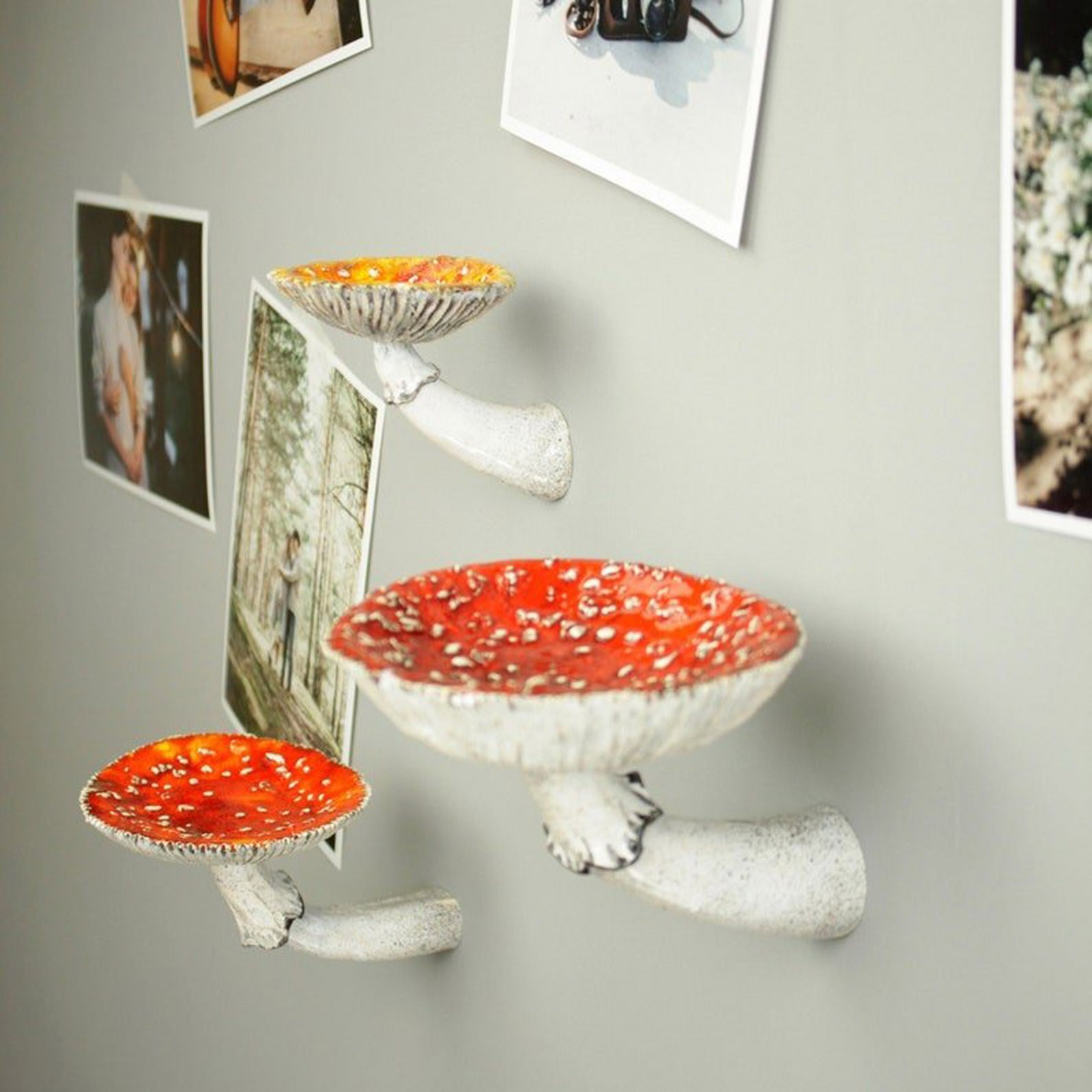 2024 Creative Resin Mushroom-H - Floating Shelves reseña y precio