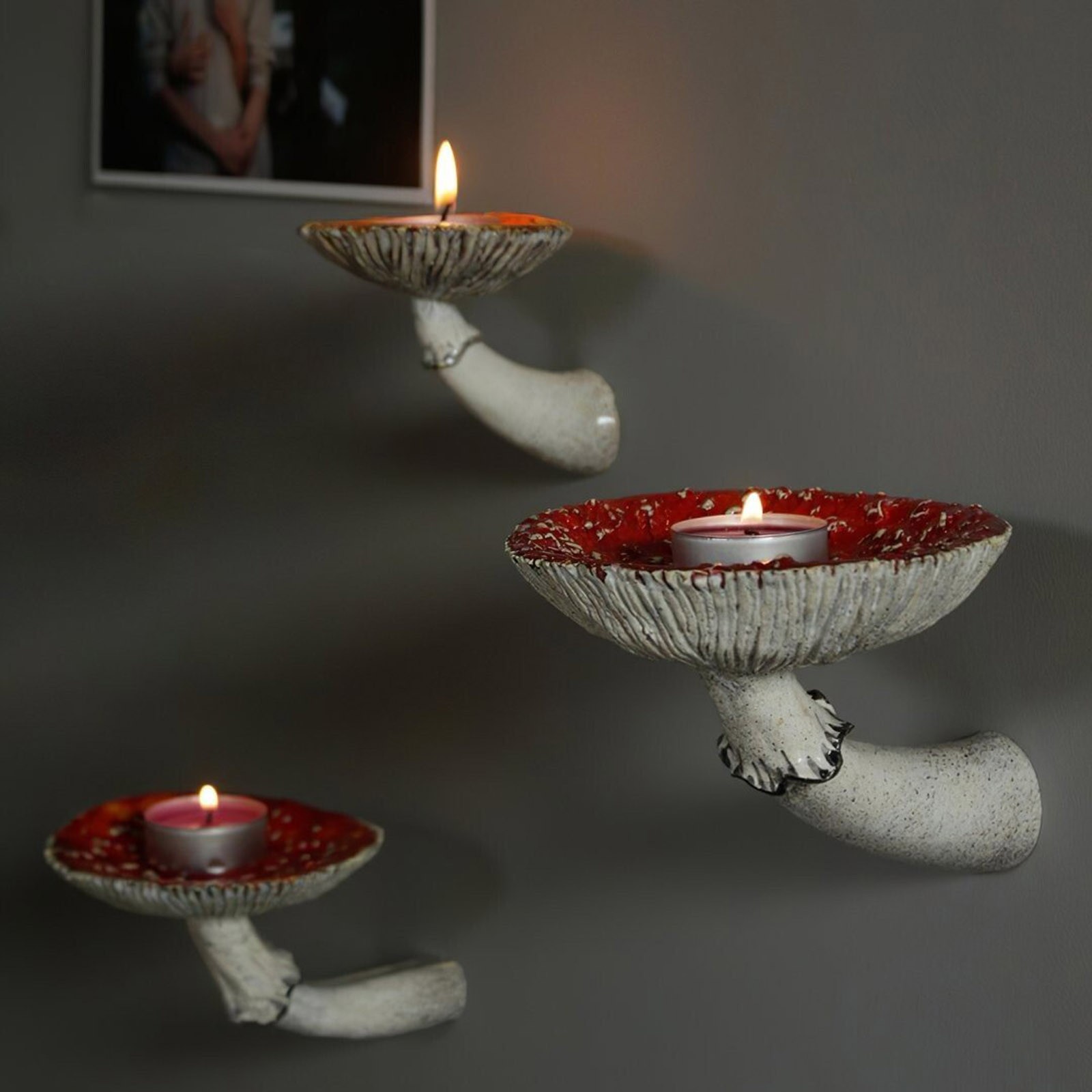 2024 Creative Resin Mushroom-H - Floating Shelves reseña y precio