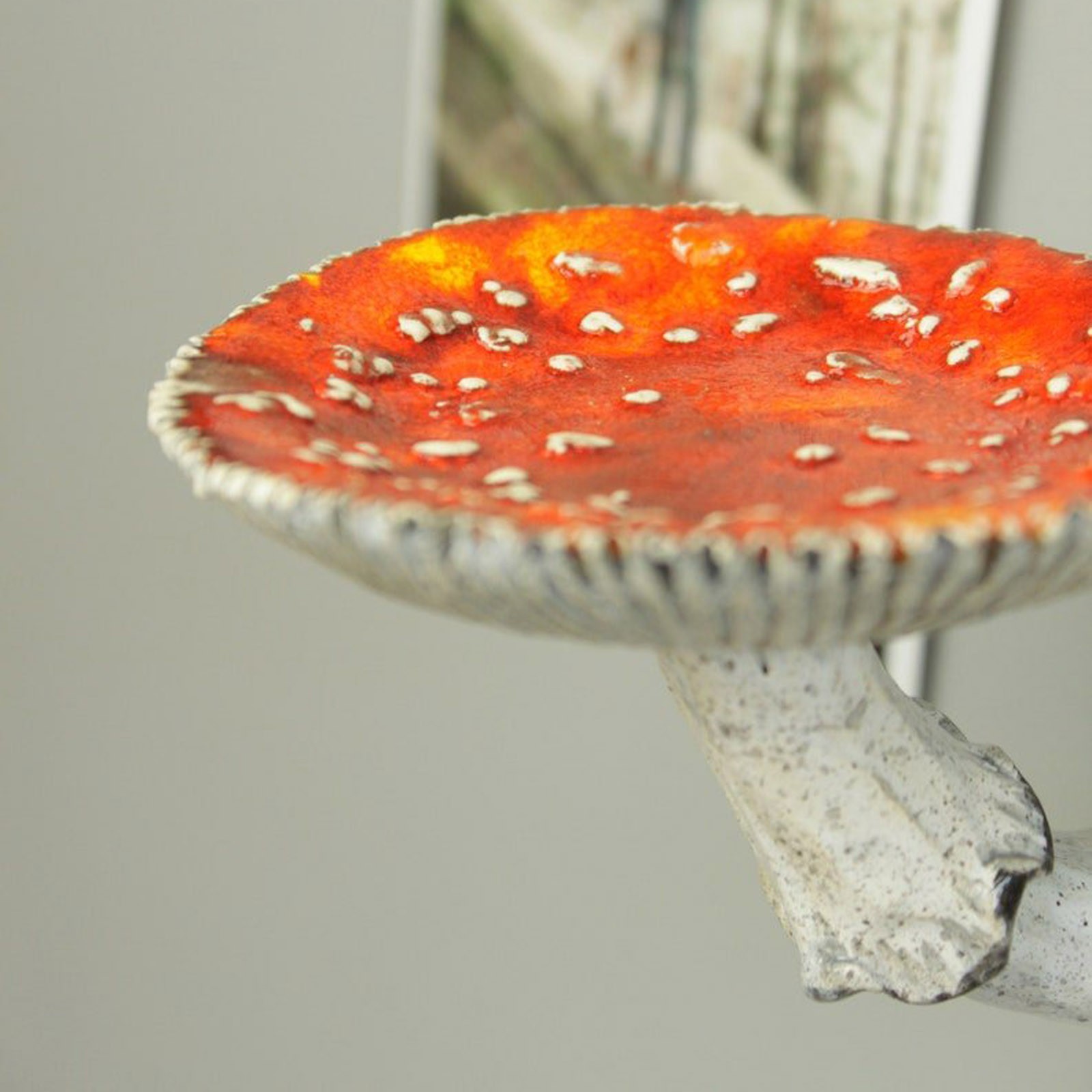 2024 Creative Resin Mushroom-H - Floating Shelves reseña y precio