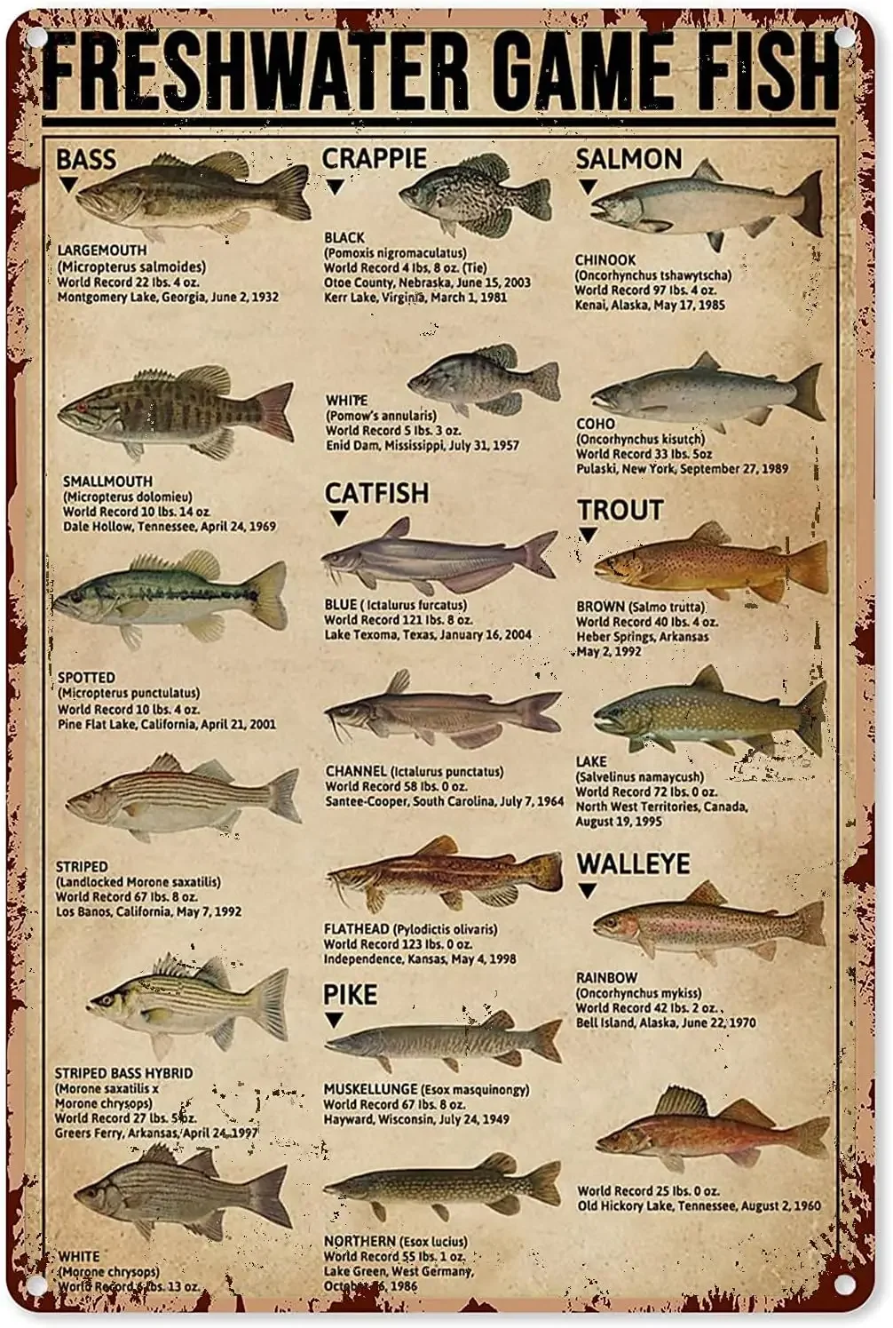 Fishing Art Posters Metal Sign - Home Decor Games Free reseña y precio