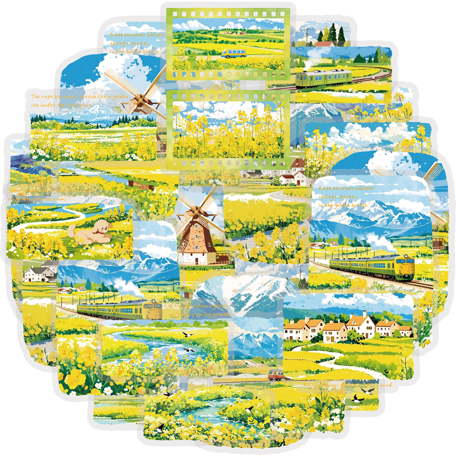 Etori Life 30Pcs Spring Rapese - Home Decor Korea reseña y precio