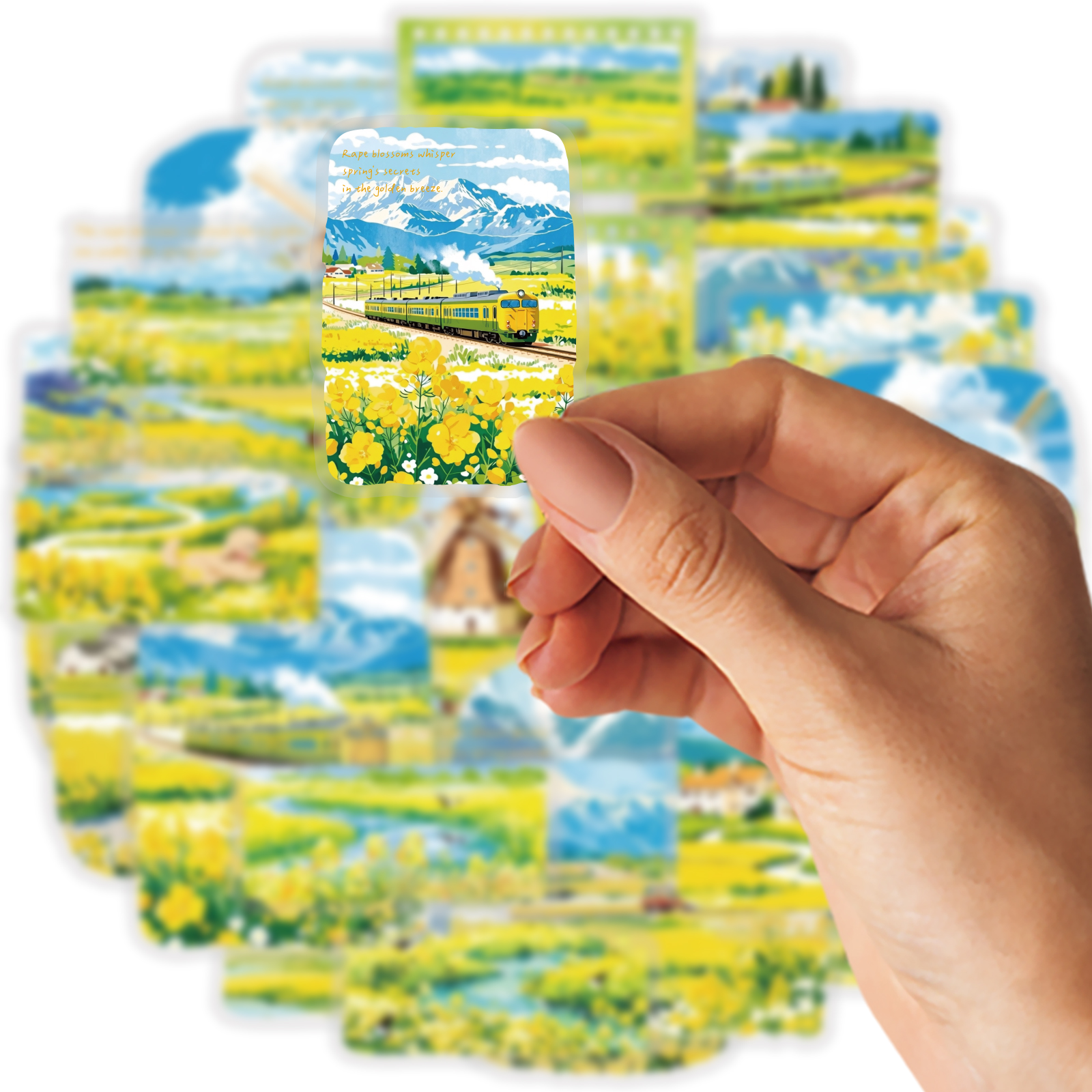 Etori Life 30Pcs Spring Rapese - Home Decor Korea reseña y precio