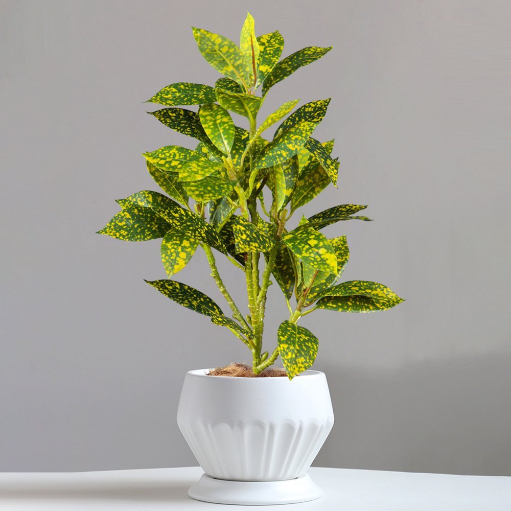 24-41cm Artificial Ficus Tree  - Victory Home Decor reseña y precio