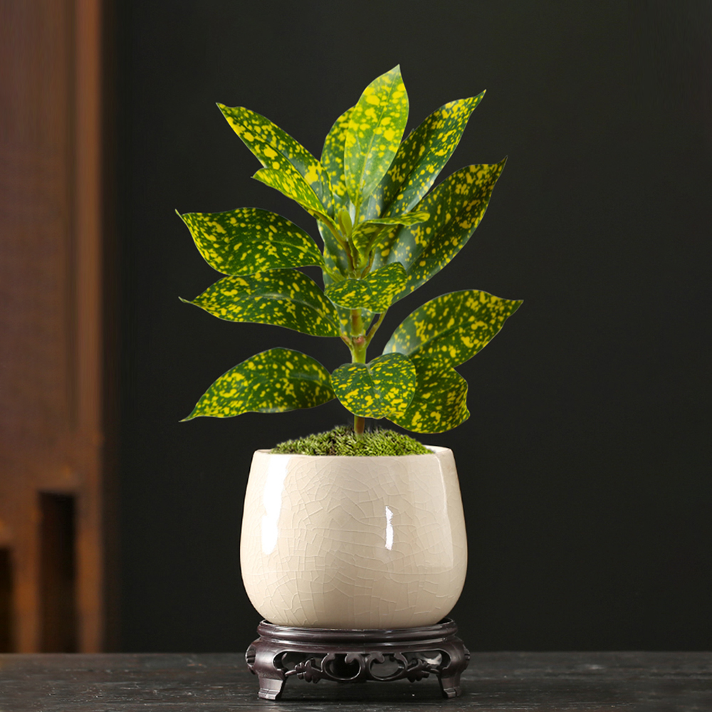 24-41cm Artificial Ficus Tree  - Victory Home Decor reseña y precio