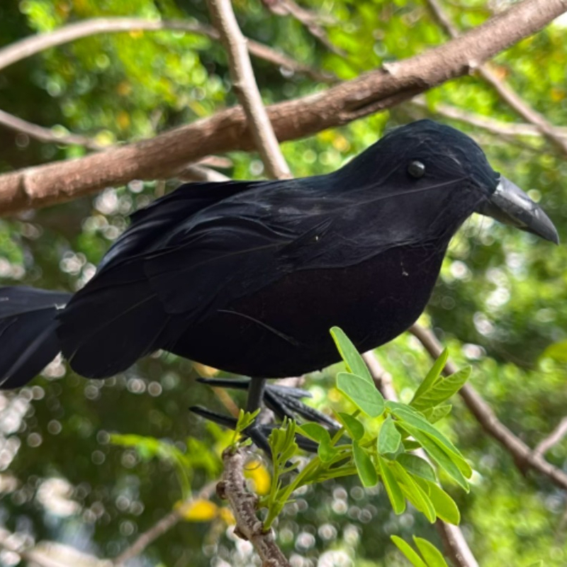 1PC Lifelike Black Crow Decor  - Home Decor Garden reseña y precio