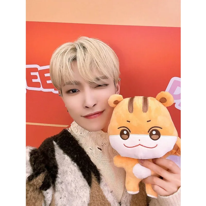 25cm ATEEZ Aniteez Plush Ateez - Home Decor Korea reseña y precio