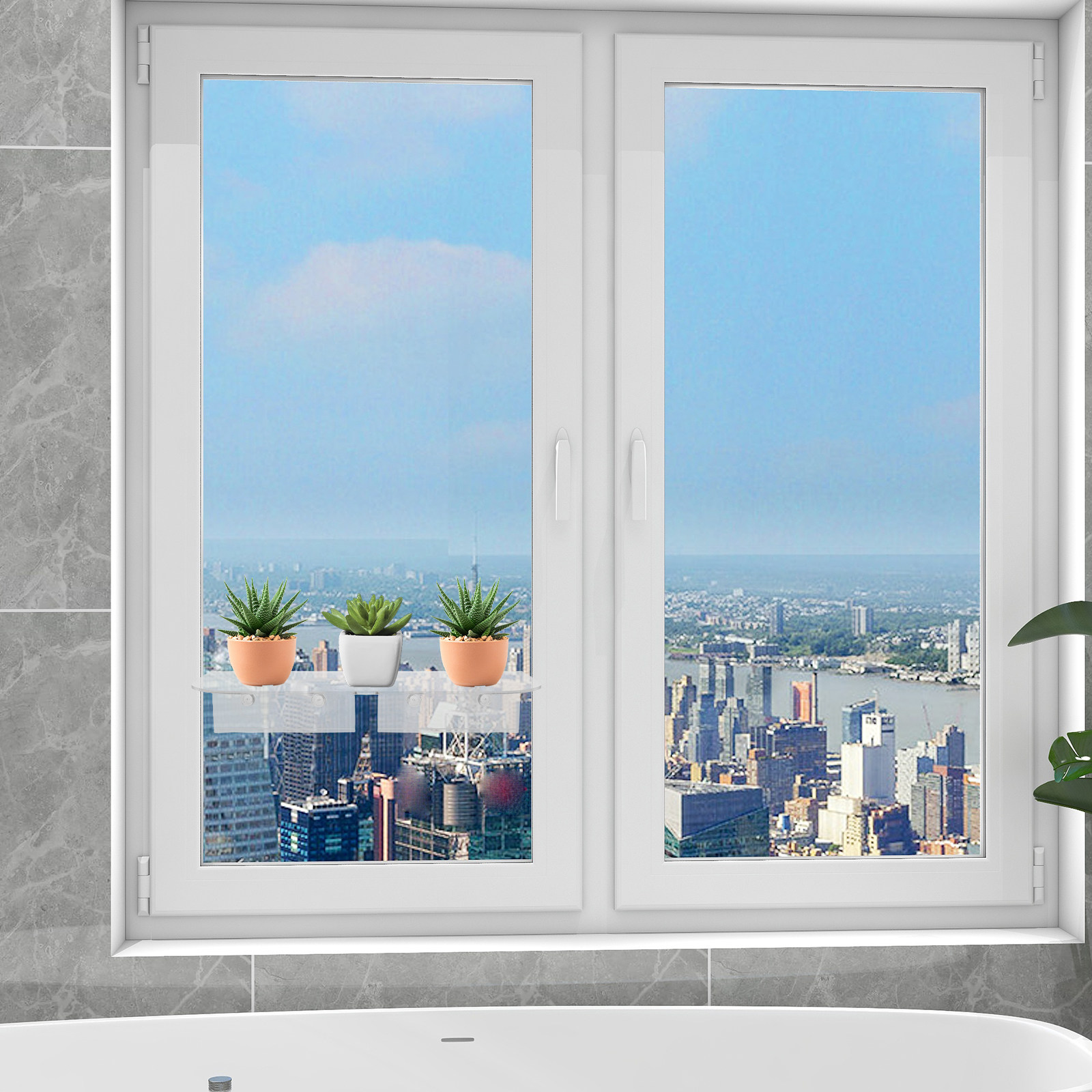 12 Inch Suction Cup Window Pla - Floating Shelves reseña y precio