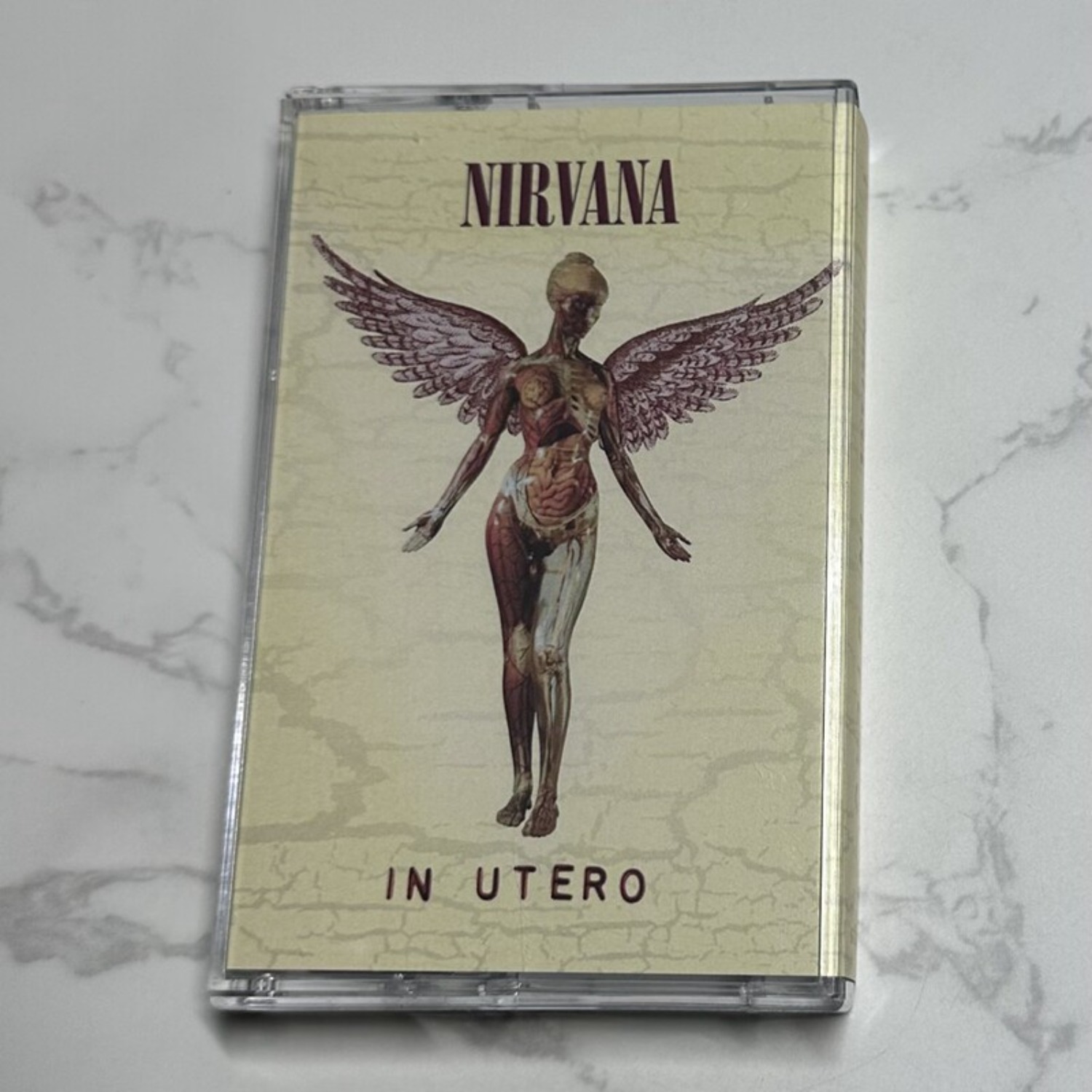 Nirvana Complete Album Collect - Home Decor Vintage reseña y precio