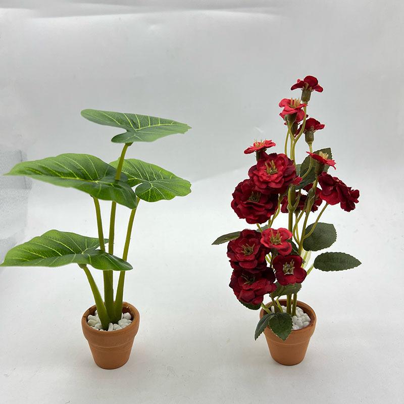 1Pcs Dollhouse Philodendron Mi - Home Decor Garden reseña y precio