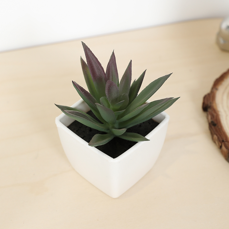 Mini Artificial Succulent Fair - Victory Home Decor reseña y precio