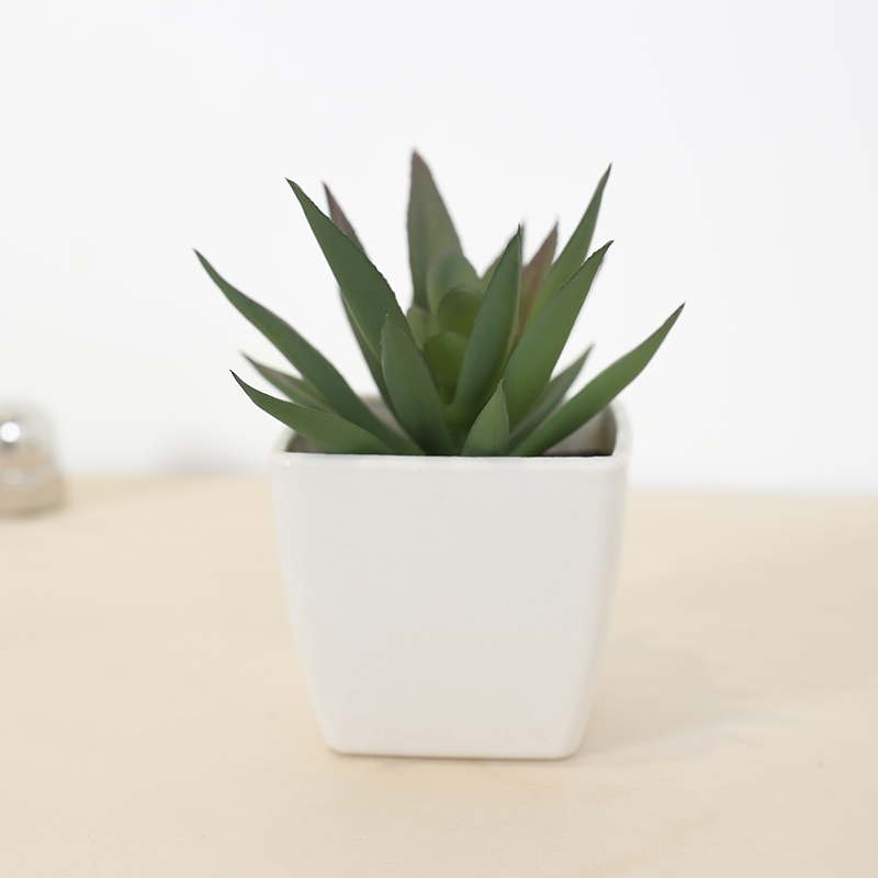 Mini Artificial Succulent Fair - Victory Home Decor reseña y precio