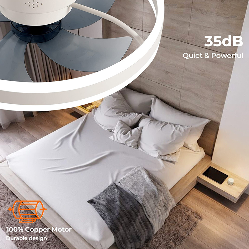 LED Ceiling Light Fan With APP - Home Decor App reseña y precio